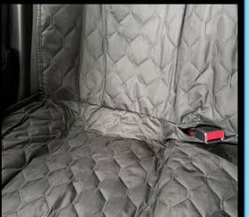 Freshly shampooed car seat